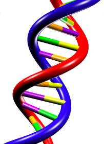 DNA van jouw bedrijf